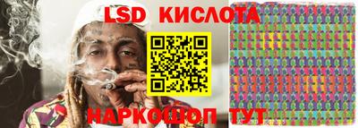 spice Гай