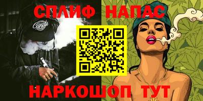 spice Гай