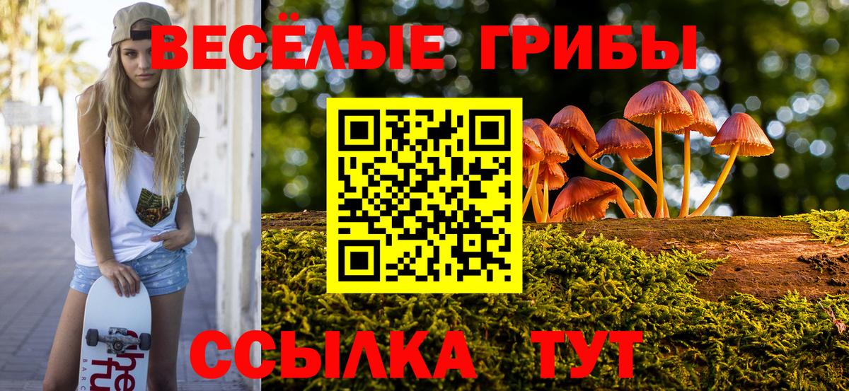 Моздок  Галлюциногенные грибы MAGIC MUSHROOMS  Вход с VPN 